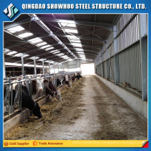 Light Steel Structure Sheep Shed Cattle Farm Cow Shed Construction